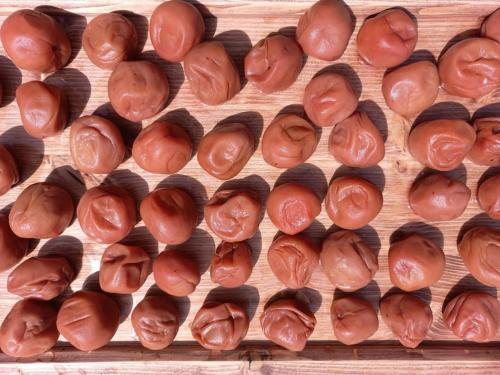 a bunch of brown flowers on a wooden table at Yasun Gallery in Gyeongju