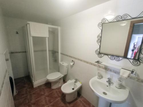 y baño con aseo, lavabo y espejo. en Casa Rural Agua de Azahar Chimenea en Zahara de la Sierra