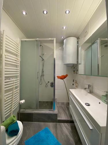 a bathroom with a shower and a toilet and a sink at Apartment "Herbert" Sonnleitn/Nassfeld in Sonnenalpe Nassfeld