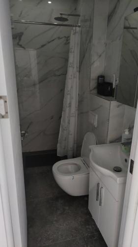 a bathroom with a white toilet and a sink at Alex Apartments Skiathos in Skiathos