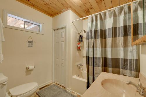 a bathroom with a toilet and a sink and a shower at Porch and Fire Pit Family-Friendly Afton Cabin! in Greeneville