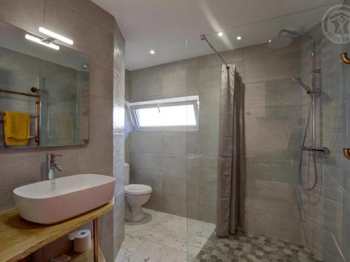 W łazience znajduje się prysznic, umywalka i toaleta. w obiekcie Gîte confort à Balbigny : 2 chambres, terrasse, jeux, équipements modernes, charges incluses - FR-1-496-282 w mieście Balbigny