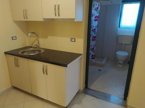 Habitación con baño con lavabo y aseo. en Vila M&D, en Divjakë