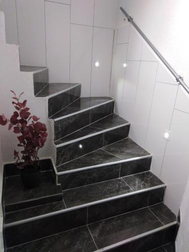 a black marble staircase with a potted plant at Apartment Anđela in Podgora