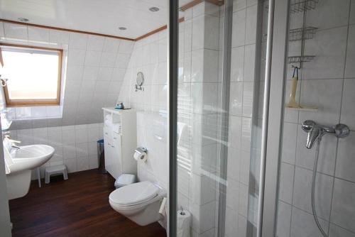 a bathroom with a toilet and a sink and a shower at Adlerhorst in Bliesdorf