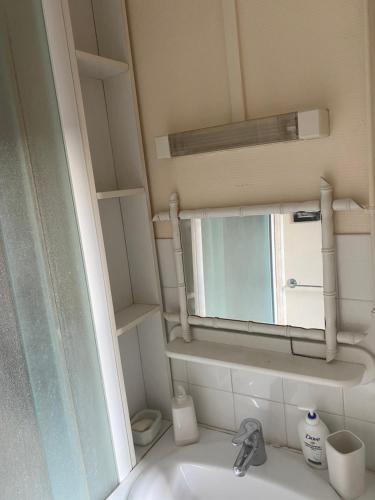 bagno con lavandino e specchio di Appartement au centre de Lons a Lons-le-Saunier