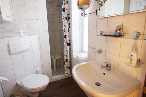 ein Bad mit einem Waschbecken, einem WC und einer Dusche in der Unterkunft Zaunkönig in Bliesdorf