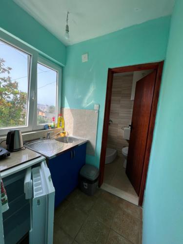 a bathroom with a sink and a toilet at Green Villa in Bar, Susanj