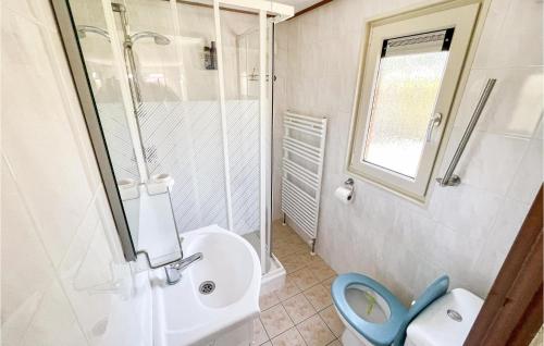 a bathroom with a toilet and a shower and a sink at Nice stacaravan In Tzummarum With Wifi in Tzummarum