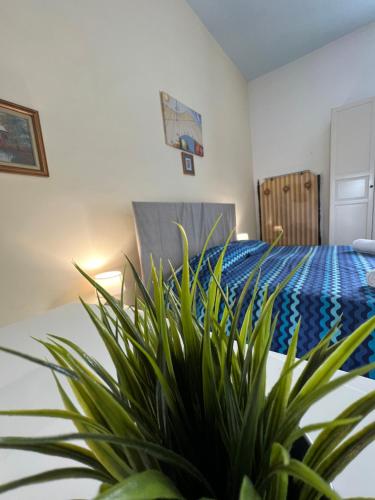 B&B Galileo Galilei – Photos 3