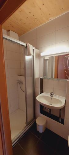 a bathroom with a shower and a sink and a toilet at Grebenzenblick in Sankt Lambrecht
