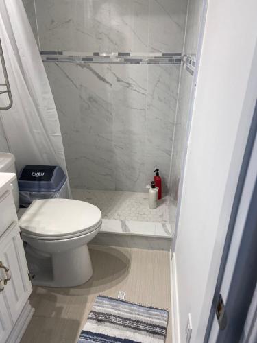 a small bathroom with a toilet and a shower at BUDGET Quad Room with En Suite Bathroom 36B in Toronto