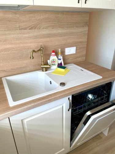 a white sink in a kitchen next to a dishwasher at Brīvdienu apartaments Melnsilā in Melnsils