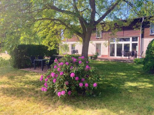 a house with pink flowers in the yard at Ferienhof Thur Mellenthin in Mellenthin