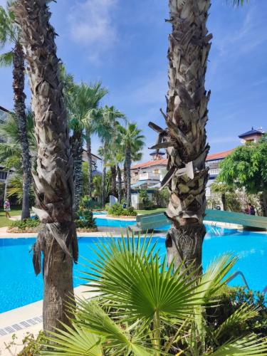 un complejo con palmeras y piscina en Sunny Apartment Costa Blanca, en La Mata