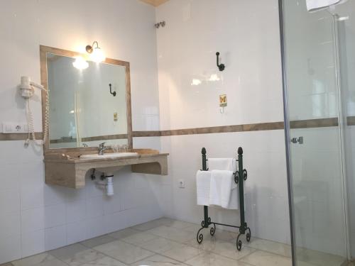 La salle de bains est pourvue d'une douche, d'un lavabo et d'un miroir. dans l'établissement Hotel Bodega el Moral, à Ribera del Fresno