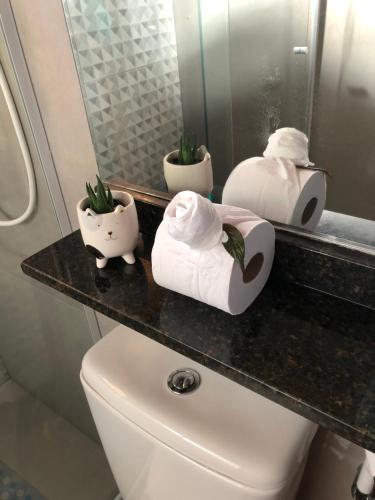 a bathroom with a counter with towels and plants on it at Casa Aconchegante na Montanha in Campos do Jordão