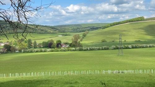 a field of green grass with a fence in it at 5 Charlton Mill Way B&B in Chichester