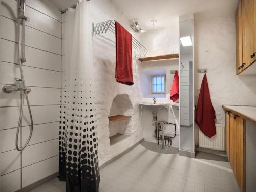 La salle de bains est pourvue d'une douche et d'un lavabo. dans l'établissement Historic Apartment with Private Garden in Old Town, à Tallinn