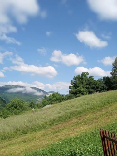 a bench sitting on top of a grassy hill at Family owned self sufficient ECO farm TARA in Pljevlja