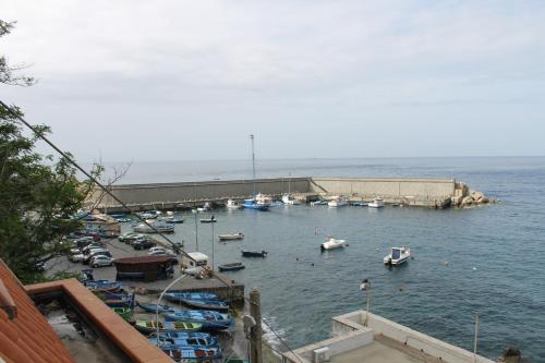 a group of boats in the water near a dock at Il Porticciolo in Scilla
