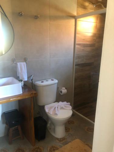 a bathroom with a toilet and a sink and a shower at Casa Aconchegante na Montanha in Campos do Jordão