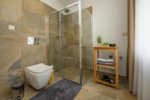 y baño con aseo y ducha acristalada. en Vila Kollár Apartmán 2, en Vysoké Tatry