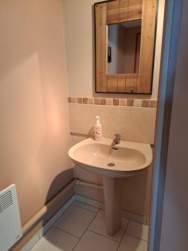 a bathroom with a sink and a mirror at La Hulottière-Gîte La Grange in Cessières