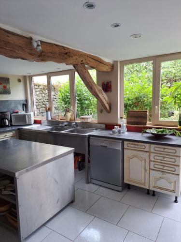 a large kitchen with stainless steel appliances and windows at La Hulottière-Gîte La Grange in Cessières
