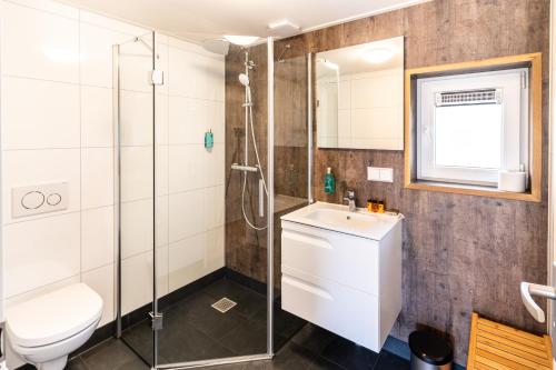 een badkamer met een douche, een toilet en een wastafel bij 't Landgoed Baars in Baars