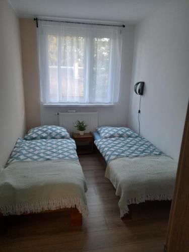 two beds in a room with a window at Agroturystyka Leśny Oddech Bory Tucholskie in Bysław