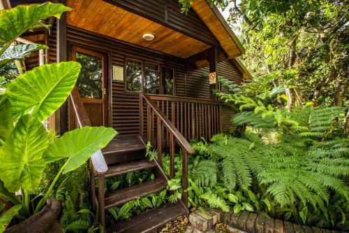 Imvubu Lodge – Photos 3