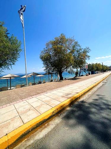 Gallery image of AM Apartment on the beach in Lefkandi Chalkidas