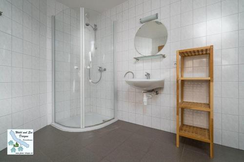 a bathroom with a shower and a sink and a mirror at Haus-1-Am-Waldeck-16b in Dargun