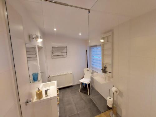 ein Bad mit einer Dusche, einem Waschbecken und einem WC in der Unterkunft Apartament Roland in Świeradów-Zdrój