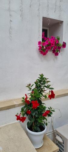 le dimore del tufo – Photos 2