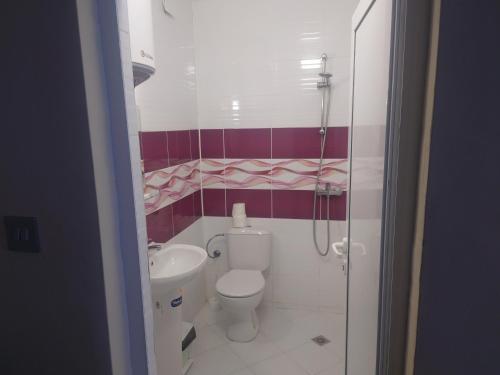 a small bathroom with a toilet and a sink at GUEST APRTMENT FOR STAY in Vidin