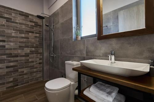 un bagno con lavandino, WC e specchio di Alba Lilia Cretan Villas a Pitsidia