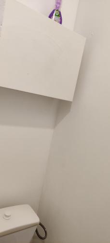 a white bathroom with a toilet and a white wall at Studio Bis Proche centre ville et Canal à Montargis in Montargis