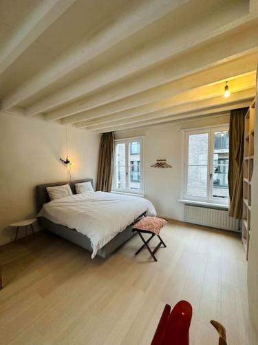 1 dormitorio con 1 cama grande y 2 ventanas en Charmante woning in city center, en Amberes