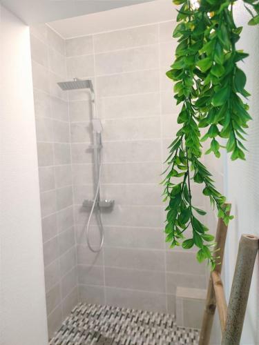 La salle de bains est pourvue d'une douche avec une plante. dans l'établissement Da Vinci - Charmant et Relax, à Amboise