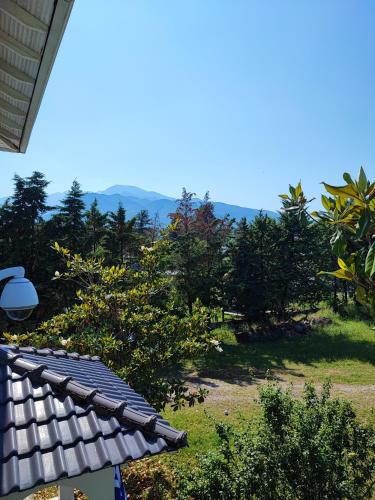 a view from the roof of a house at Olympus Mytikas Apartment in Litochoro