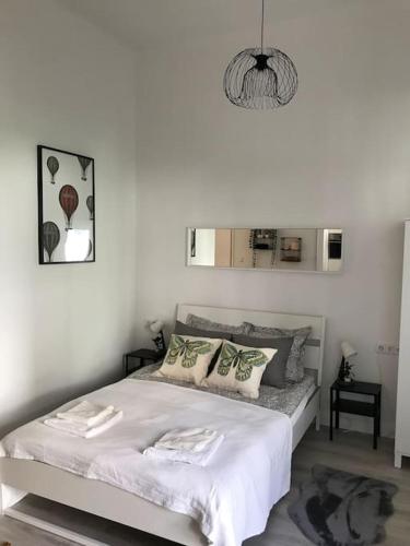 Near City park only 5 minutes walk , where you can find the world famous Szechenyi thermal bath spa, Capital Circus , Museums The apartment is modern and newly renovated ,in a quiet and peaceful green Oasis with AC ,smart TV, high speed internet
