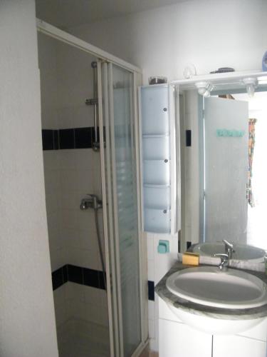 une salle de bain avec un lavabo et une douche en verre dans l'établissement Coquet Pavillon classé meublé de tourisme Narbonne Plage, à Narbonne-Plage