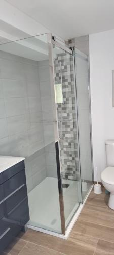 La salle de bains est pourvue d'une douche en verre et de toilettes. dans l'établissement Gite Les Courbes, à La Flèche