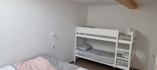 a bedroom with a bunk bed and a white shelf at Gite Les Courbes in La Flèche