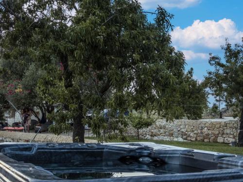 a tree and a stone wall in a yard at Casa Bedda in Noto Marina