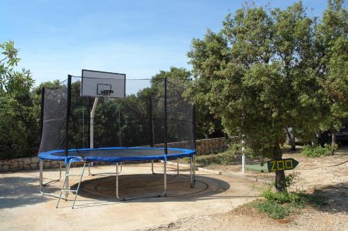 a basketball hoop with a blue top in a park at Holiday Park Mandrice in Mandre