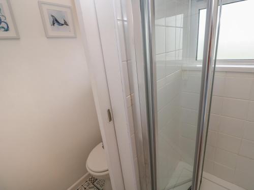 uma casa de banho com um chuveiro e um WC. em 1 Trevelyan em Helston