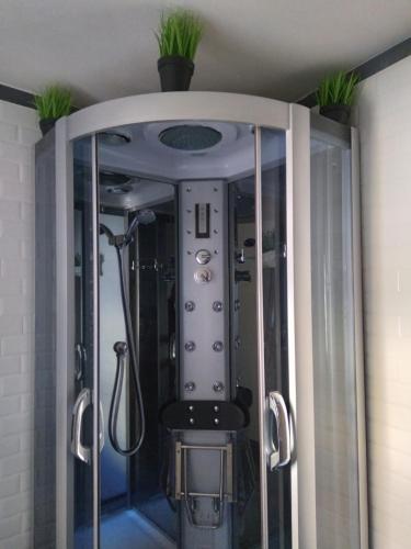 La salle de bains est pourvue d'une douche avec des plantes au plafond. dans l'établissement Terracielo Ramona B&B Homestay Penne, à Penne